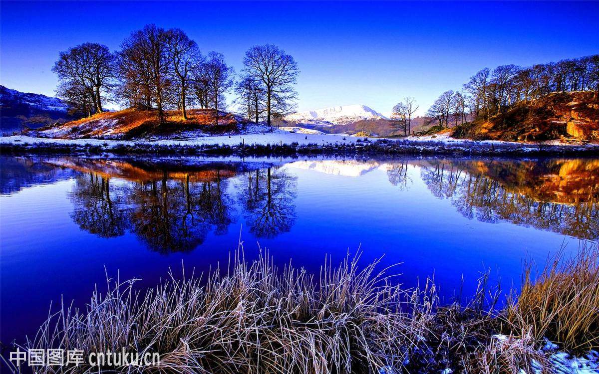 第六屆（2022）豬營養國際論壇會議通知